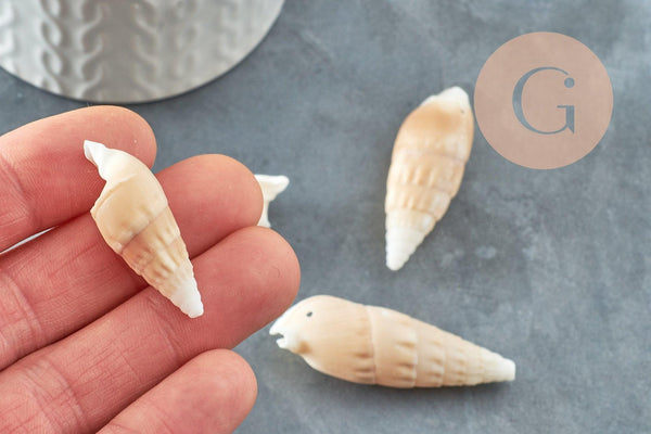 Pendentif Coquillage naturel spirale Conch 47mm, x5 (G1658)