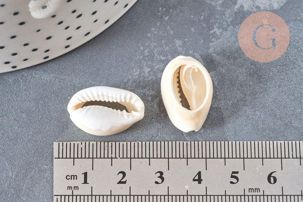 Pendentif Perle coquillage cauri resine blanc 19mm, x5 (G5403)