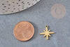 Pendentif acier doré inoxydable étoile du nord, un bijou en acier hypoallergénique sans libération de nickel,15mm x1 (G4548)