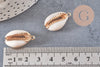 Pendentif cauri ouvert coquillage naturel doré, pendentif doré, création bijou coquillage cauri, coquillage naturel, x1,23-28mm-G2139