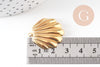 Pendentif coquillage acier IP inoxydable doré 18K 26.5mm, x1 (G10806)
