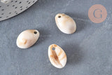 Pendentif coquillage cauri acrylique beige marbré 19mm, x10 (G5488)