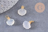 Pendentif coquillage agate naturelle blanche doré 14K 17.5mm, x1 (G10395)