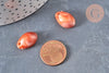 Pendentif coquillage cauri acrylique orange marbré 19mm, x10 (G1232)