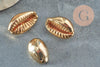 Pendentif coquillage cauri doré clair fermé,coquillage naturel,cauri doré,coquillage or,18mm,1 trou, x5 (G2851)