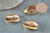 Pendentif coquillage cauri naturel doré clair20mm, x5 (G1121)
