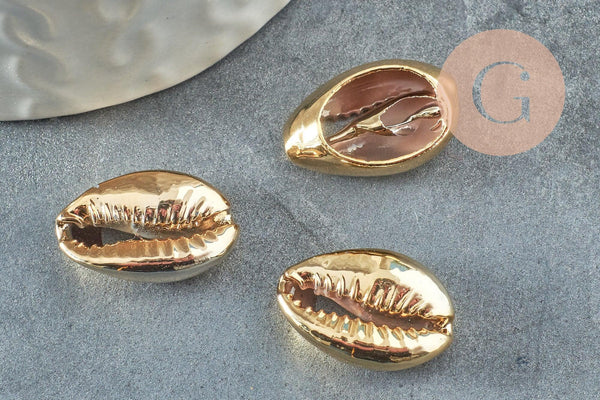 Pendentif coquillage cauri naturel doré clair20mm, x5 (G1121)