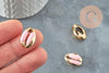 Pendentif coquillage cauri naturel doré resine rose 19mm,coquillage naturel pour création bijoux, x5 (G1230)