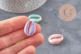 Pendentif coquillage cauri naturel resine colorée 19mm, x5 (G0736)