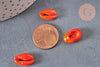 Pendentif coquillage cauri orange, coquillage naturel,cauri orange,coquillage bijou,15mm, x5 (G2902)