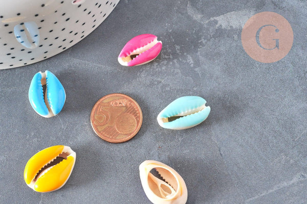 Pendentif coquillage cauri resine,coquillage naturel,cauri couleur,19mm, x5 (G0736)