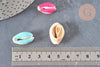 Pendentif coquillage cauri resine,coquillage naturel,cauri couleur,19mm, x5 (G0736)