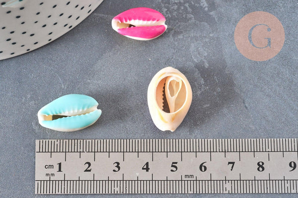 Pendentif coquillage cauri resine,coquillage naturel,cauri couleur,19mm, x5 (G0736)