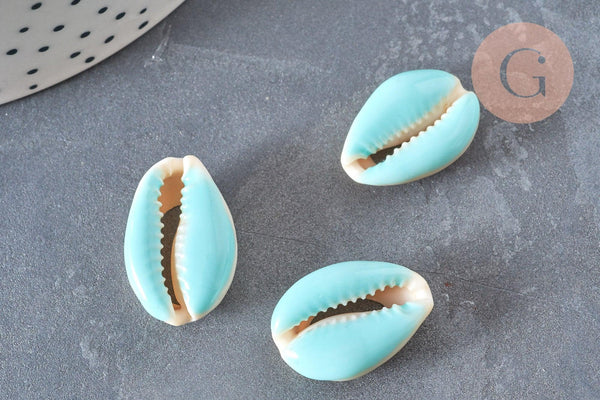 Pendentif coquillage cauri resine,coquillage naturel,cauri couleur,19mm, x5 (G0736)