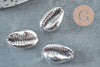 Pendentif coquillage cauris argent, coquillage naturel,cauri argent,coquillage bijou,20mm, x5 (G1676)