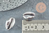 Pendentif coquillage cauris argent, coquillage naturel,cauri argent,coquillage bijou,20mm, x5 (G1676)