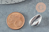 Pendentif coquillage cauris naturel argent 20mm, x5 (G1676)