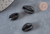 Pendentif coquillage cauris noirs,coquillage naturel,cauri noir,coquillage bijou,15mm, x5 (G0370)