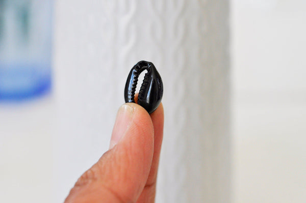 Pendentif coquillage cauris noirs,coquillage naturel,cauri noir,coquillage bijou,15mm, x5 (G0370)