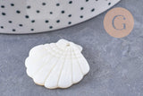 Pendentif coquillage nacre blanche naturelle 29mm, x2 (G10089)