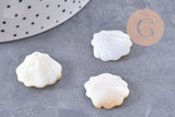 Pendentif coquillage nacre blanche naturelle irisée 21mm, x2 (G10224)