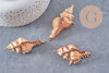 Pendentif coquillage naturel Conch doré, fourniture créative, pendentif doré, création bijoux, coquillage bijou,coquillage or,40-65mm-G1387
