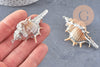 Pendentif coquillage naturel argenté, pendentif argent création bijoux, coquillage Conch bijou,coquillage naturel, 30mm-G1259