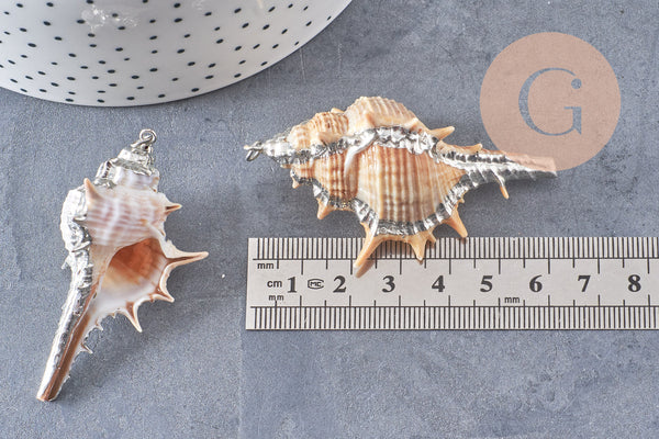 Pendentif coquillage naturel argenté, pendentif argent création bijoux, coquillage Conch bijou,coquillage naturel, 30mm-G1259