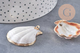 Pendentif coquillage naturel coque doré 32-42mm, x1 (G0096)
