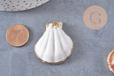 Pendentif coquillage naturel coque doré 32-42mm, x1 (G0096)