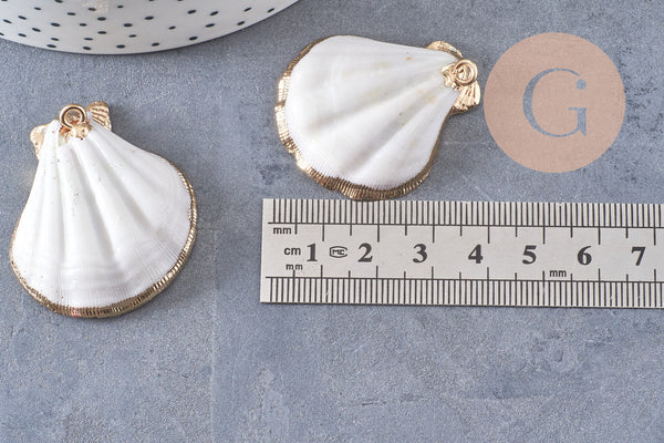 Pendentif coquillage naturel coque doré 32-42mm, x1 (G0096)