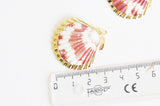 Pendentif coquillage naturel coque doré 33-54mm, x1 (G1795)