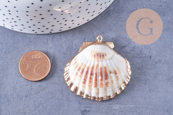 Pendentif coquillage naturel coque doré 40-51mm, x1 (G7163)