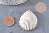 Pendentif coquillage naturel coque doré 42mm, x1 (G0873)