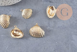 Pendentif coquillage naturel coque doré, fourniture créative, pendentif doré, coquillage or,21-25mm, x1 G3725