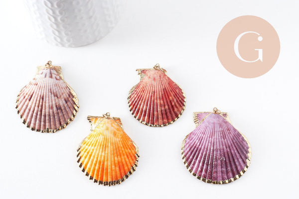 Pendentif coquillage naturel coque doré, pendentif doré, coquillage bijou,coquillage or,50mm x1 (G0933)