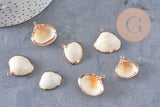 Pendentif coquillage naturel coque doré,pendentif doré, création bijoux, coquillage bijou,coquillage or,22-29mm, x 2-G1815