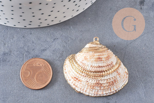 Pendentif coquillage naturel coque doré,pendentif doré, création bijoux, coquillage bijou,coquillage or,29-41mm, x 2 G5143