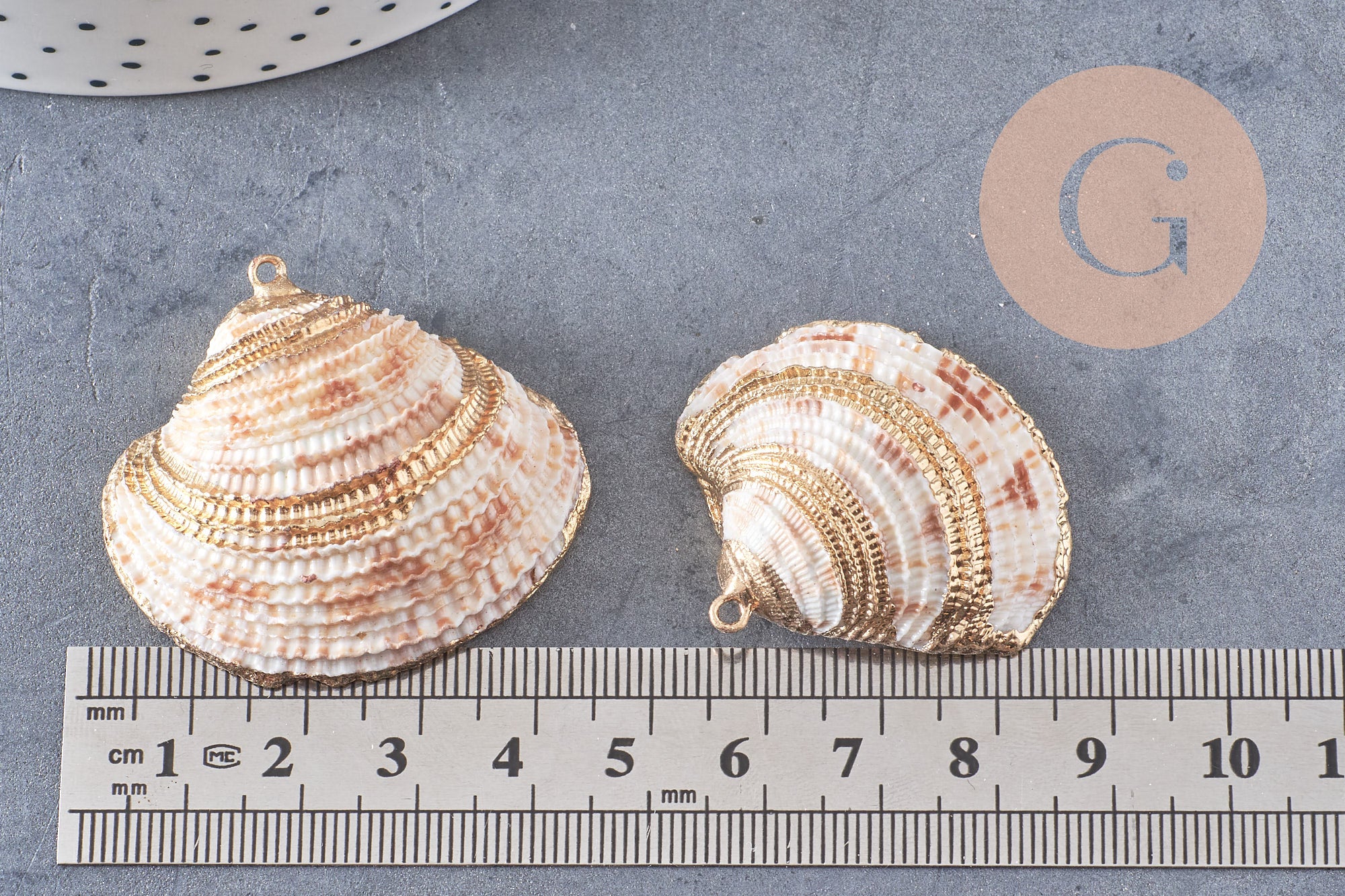 Pendentif coquillage naturel coque doré,pendentif doré, création bijoux, coquillage bijou,coquillage or,29-41mm, x 2 G5143