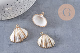 Pendentif coquillage naturel coque laiton doré 21-25mm, x1 (G6464)