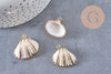 Pendentif coquillage naturel coque laiton doré 21-25mm, x1 (G6464)