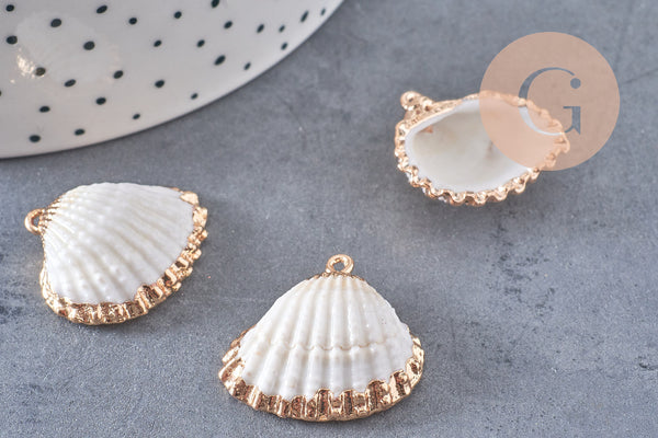 Pendentif coquillage naturel coque laiton doré 21-25mm, x1 (G6464)