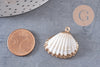 Pendentif coquillage naturel coque laiton doré 21-25mm, x1 (G6464)