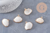 Pendentif coquillage naturel coque laiton doré 21-25mm, x1 (G6464)