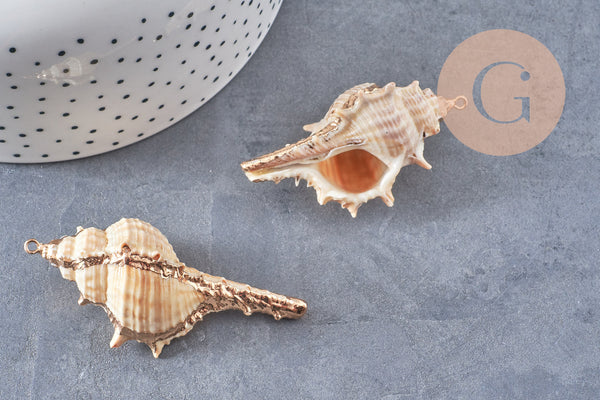 Pendentif coquillage naturel doré 50~64mm, x1 (G6465)