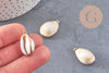 Pendentif coquillage naturel doré, pendentif doré, coquillage Conch bijou, coquillage naturel, 23mm, x1 G0890