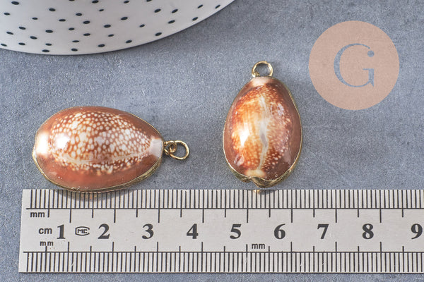Pendentif coquillage naturel doré, pendentif doré, création bijoux, coquillage Conch bijou, coquillage naturel, 28mm (G0878)