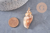Pendentif coquillage naturel fer doré 26-52mm,x1 (G0133)