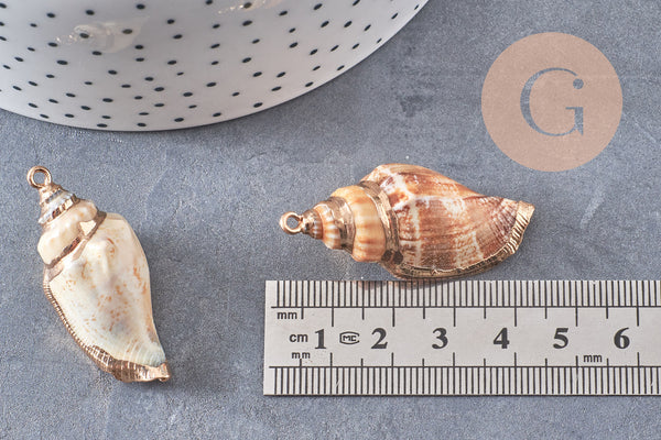 Pendentif coquillage naturel fer doré 26-52mm,x1 (G0133)