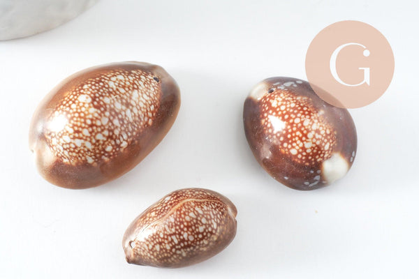 Pendentif coquillage naturel marron, coquillage porcelaine, pendentif coquillage, création coquillage bijou, x1 G0707